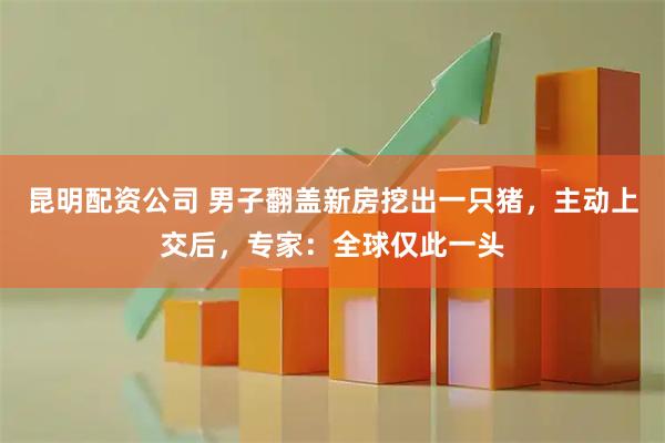 昆明配资公司 男子翻盖新房挖出一只猪,主动上交后,专家:全球仅此一头