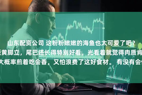 山东配资公司 这粉粉嫩嫩的海鱼也太可爱了吧？ 圆扁的身形像极了粉版黄脚立，尾巴还长得特别好看，光看着就觉得肉质肯定很鲜！我琢磨着大概率煎着吃会香，又怕浪费了这好食材。 有没有会做海鲜的朋友，快来教教我这鱼咋做才最好吃？